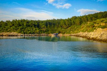 Dalyan Boat Trip - Kara Mehmet Bays - Sari Zeybek